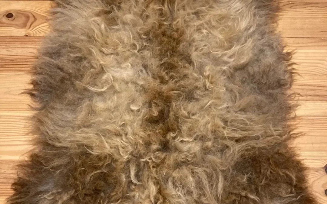 Icelandic Sheepskin – Brownie