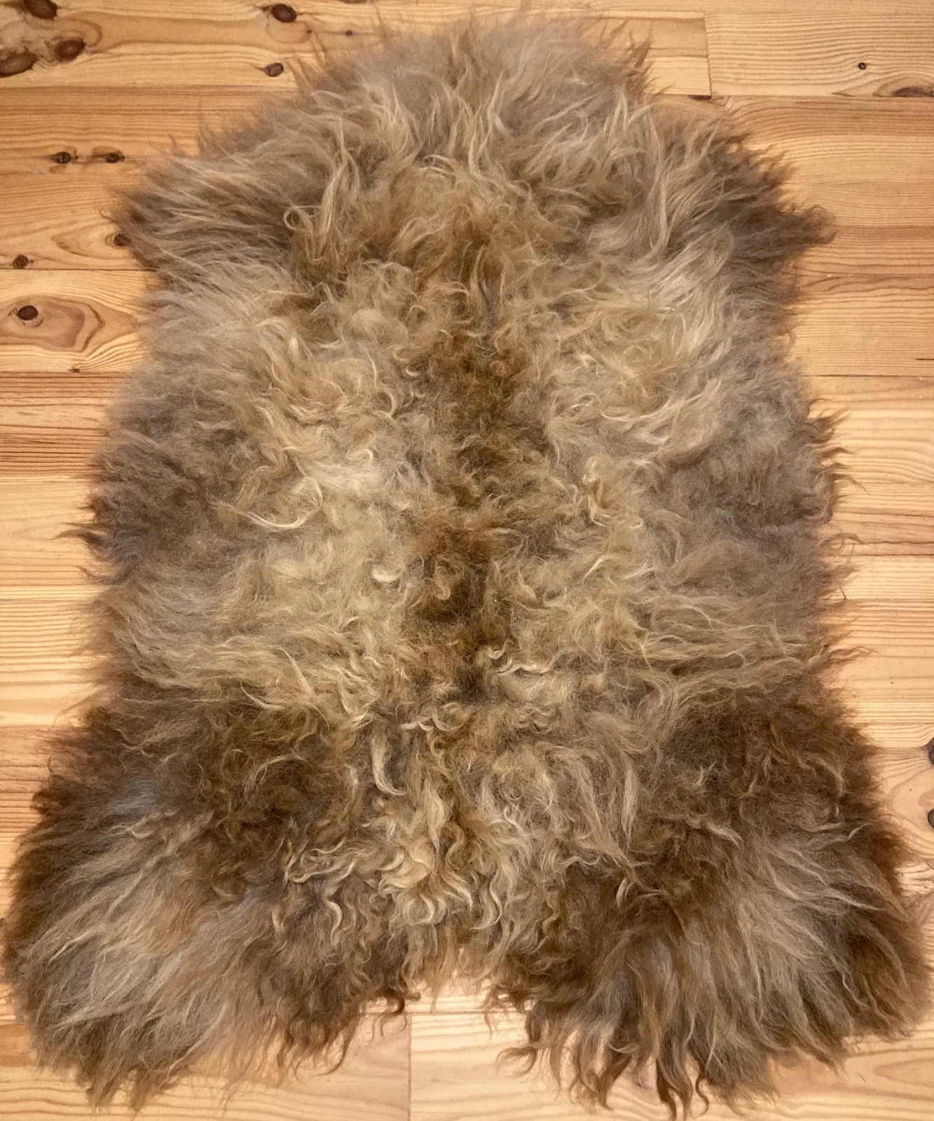 Skye Icelandic Rugs RINGO front 3