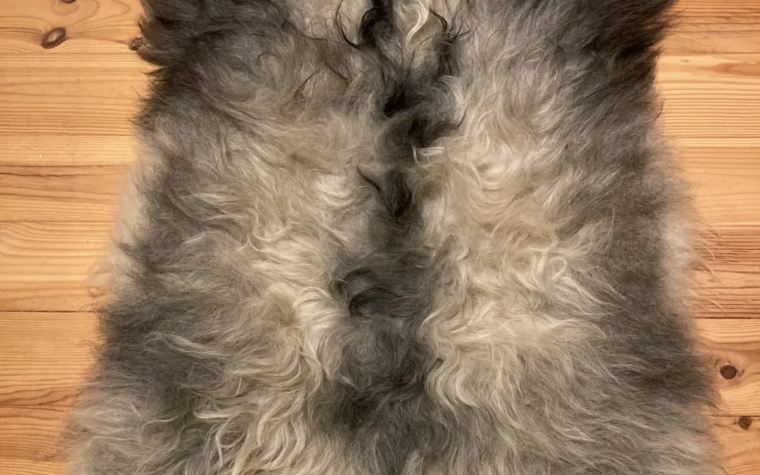 Icelandic Sheepskin – Hindi
