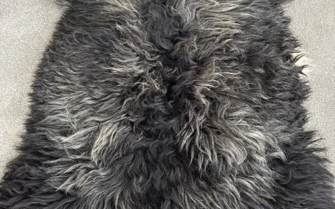 Icelandic Sheepskin – Leggy Boy