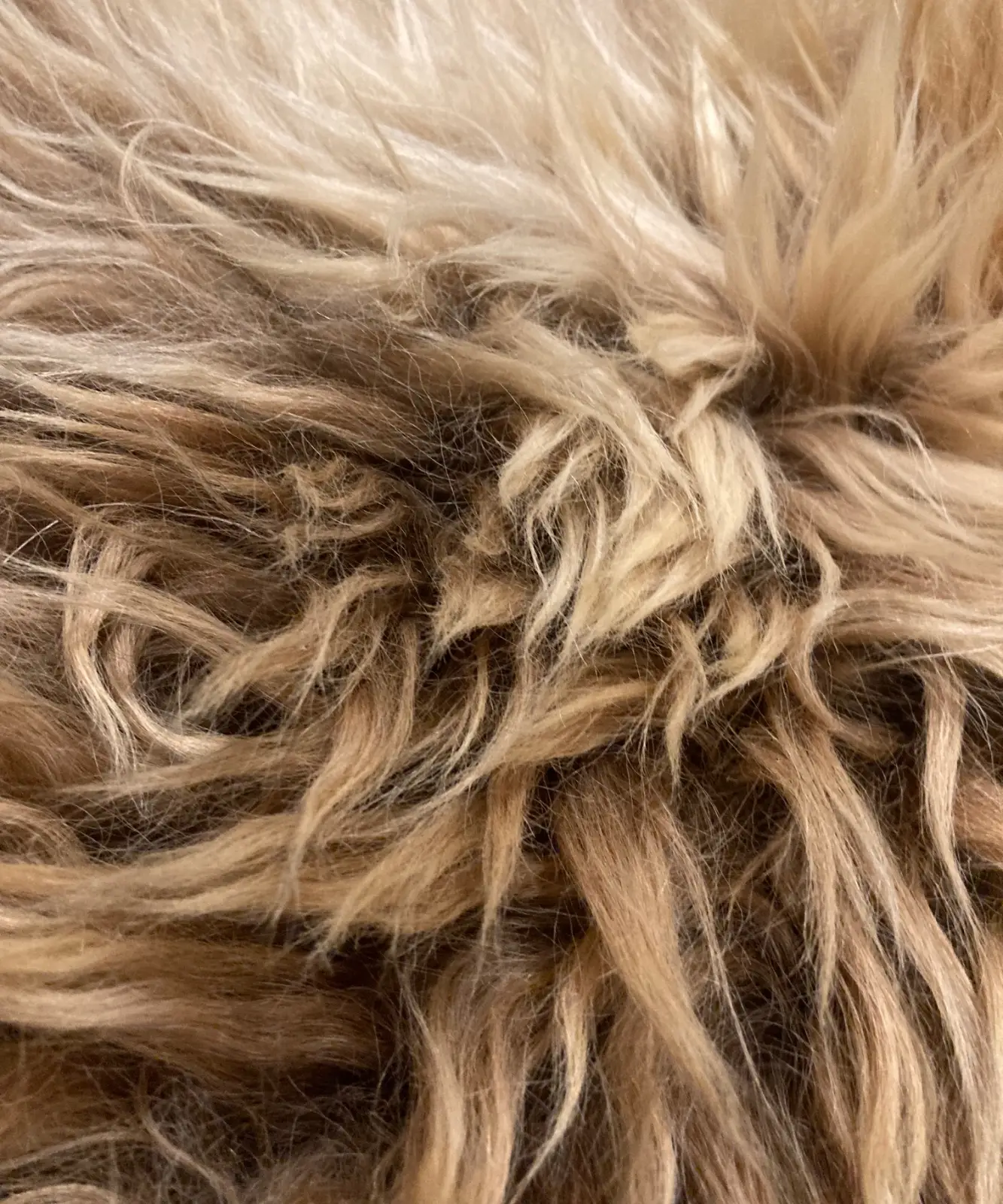 Skye Icelandic Rugs RINGO back 1