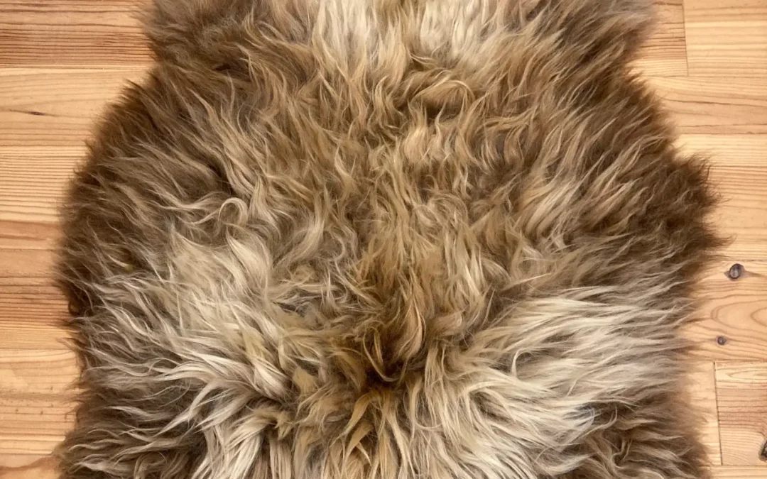 Icelandic Sheepskin – Rasta