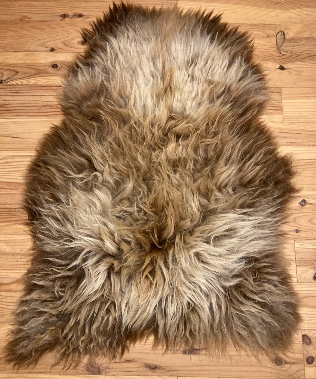 Skye Icelandic Rugs RINGO front 3