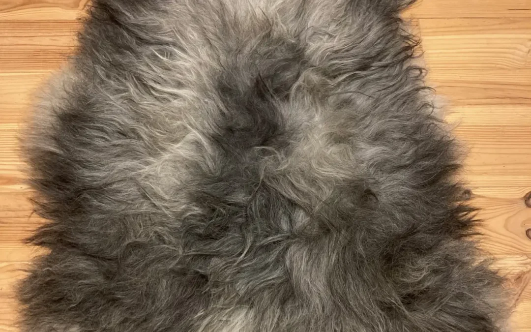 Icelandic Sheepskin – Ringo